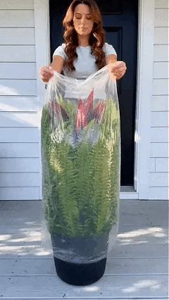 🔥LAST DAY SPECIAL 50% 🌿UV-Resistant Artificial Fern & Red Dracaena Decorative Plants – Full, Lush & Fade-Resistant!
